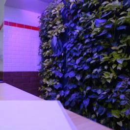 Butifarring Budapest, Budapest - Mosdó