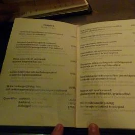 Cactus Juice Pub, Budapest - Étlap/itallap