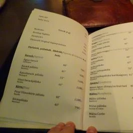 Cactus Juice Pub, Budapest - Étlap/itallap