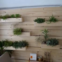 Cafe El Mondo, Budapest - Belső