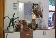 Cafe Green Wood Debrecen