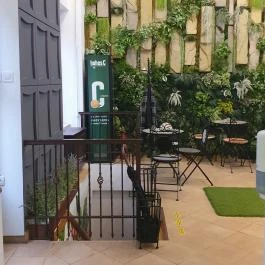 Cafe Green Wood, Debrecen - Egyéb