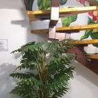 Cafe Green Wood Debrecen - Egyéb