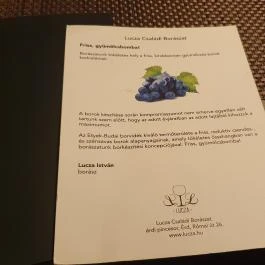 Caffe Mediterrán Grill House, Biatorbágy - Egyéb