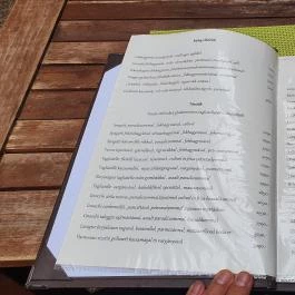 Carpaccio Étterem, Alsóörs - Étlap/itallap