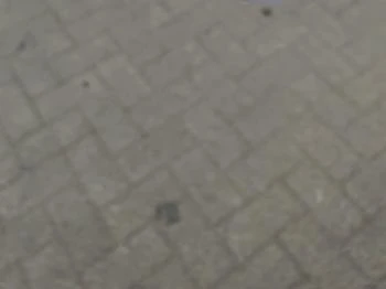 Carpigiani Fagyizó Veresegyház Carpigiani Fagyizó Veresegyház