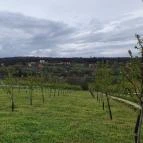 Casa Christa birtok étterme Balatonszőlős - Egyéb