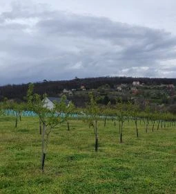 Casa Christa birtok étterme