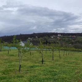 Casa Christa birtok étterme Balatonszőlős - Egyéb