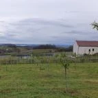 Casa Christa birtok étterme Balatonszőlős - Egyéb