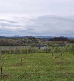 Casa Christa birtok étterme