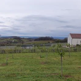 Casa Christa birtok étterme Balatonszőlős - Egyéb