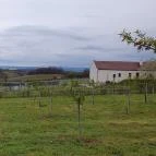 Casa Christa birtok étterme Balatonszőlős - Egyéb