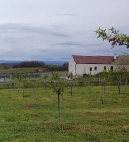 Casa Christa birtok étterme