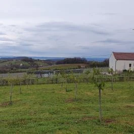 Casa Christa birtok étterme Balatonszőlős - Egyéb