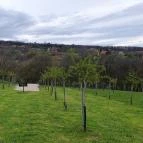 Casa Christa birtok étterme Balatonszőlős - Egyéb