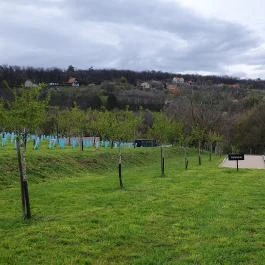 Casa Christa birtok étterme Balatonszőlős - Egyéb