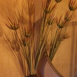 Casa Christa birtok étterme Balatonszőlős - Egyéb