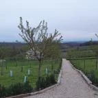 Casa Christa birtok étterme Balatonszőlős - Egyéb