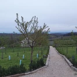 Casa Christa birtok étterme Balatonszőlős - Egyéb