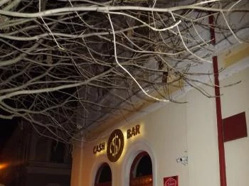 Cash Bar Baja