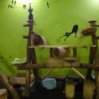 Cat Café - Révay utca Budapest - Belső