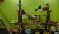 Cat Café - Révay utca Budapest - Belső