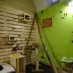 Cat Café - Révay utca Budapest - Belső