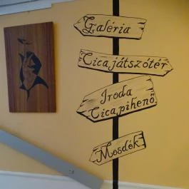 Cat Café - Révay utca Budapest - Belső