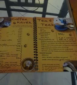 Cat Café - Révay utca