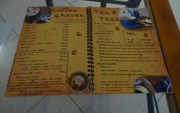 Cat Caf R vay utca Budapest J rt l m r itt Olvass Cat Caf R vay utca Budapest J rt l m r itt Olvass