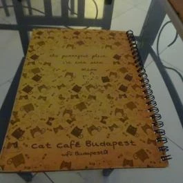 Cat Café - Révay utca Budapest - Étlap/itallap