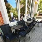 Champion Pékség II. Siófok - Egyéb