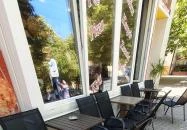 Champion Pékség II. Siófok