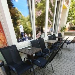 Champion Pékség II. Siófok - Egyéb