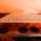 Cheerio Budapest - Belső