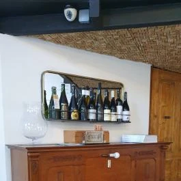 Cintányéros, Budapest - Egyéb