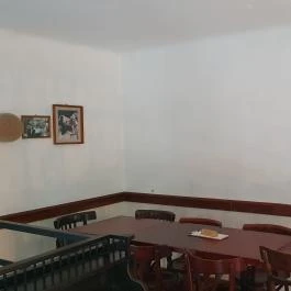 Cintányéros, Budapest - Egyéb