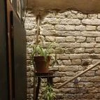 Cirmi Kézműves Gasztrokocsma Szeged - Egyéb