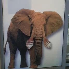 City Buffet Székesfehérvár - Egyéb