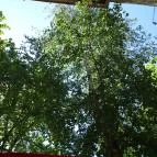 Club Silver Kiskunfélegyháza - Külső kép