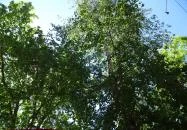 Club Silver Kiskunfélegyháza