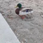 Code Zero Wine & Grill - Balaton Csopak - Külső kép