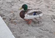 Code Zero Wine & Grill - Balaton Csopak