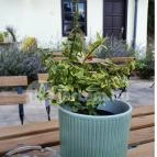 Bar Coffee Érd - Egyéb