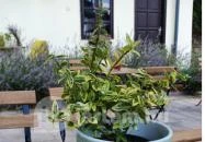 Bar Coffee Érd Bar Coffee Érd