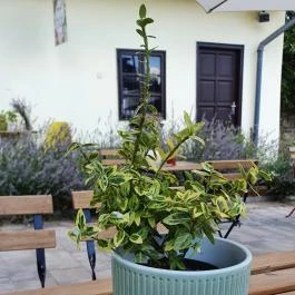 Bar Coffee, Érd - Egyéb