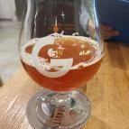 Constellation Budapest - Egyéb