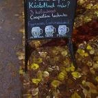 Cool club Szeged - Egyéb