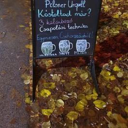 Cool club Szeged - Egyéb